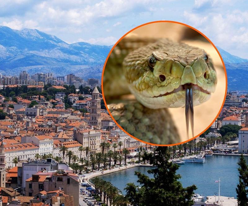 Zrozumienie ludzkich zachowań