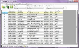 Pobieranie Subiekt GT za darmo – legalność i potencjalne konsekwencje, o których musisz wiedzieć