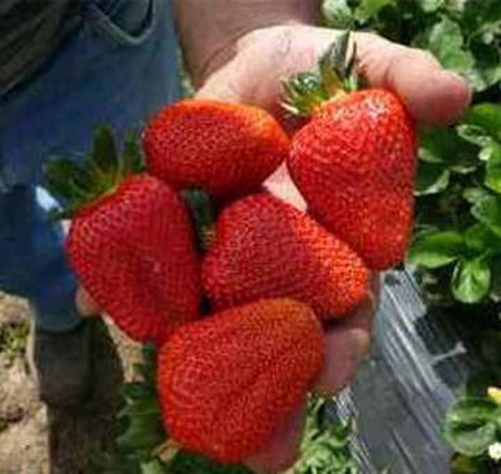 Nowe możliwości w San Andreas – jak aktualizacja patch zmienia nasze doświadczenia w grze?